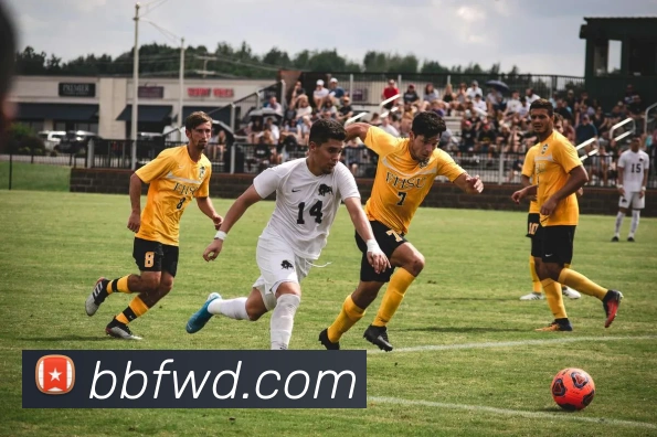 App Interface Preview